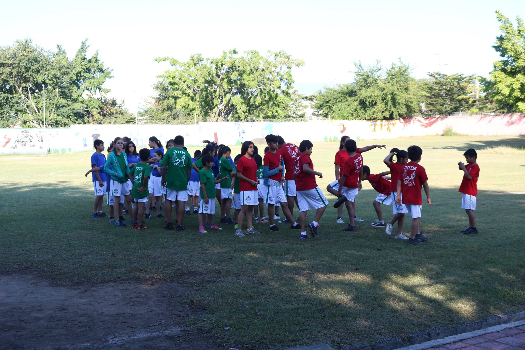 48361122 1175688079249017 1490731020423528448 N