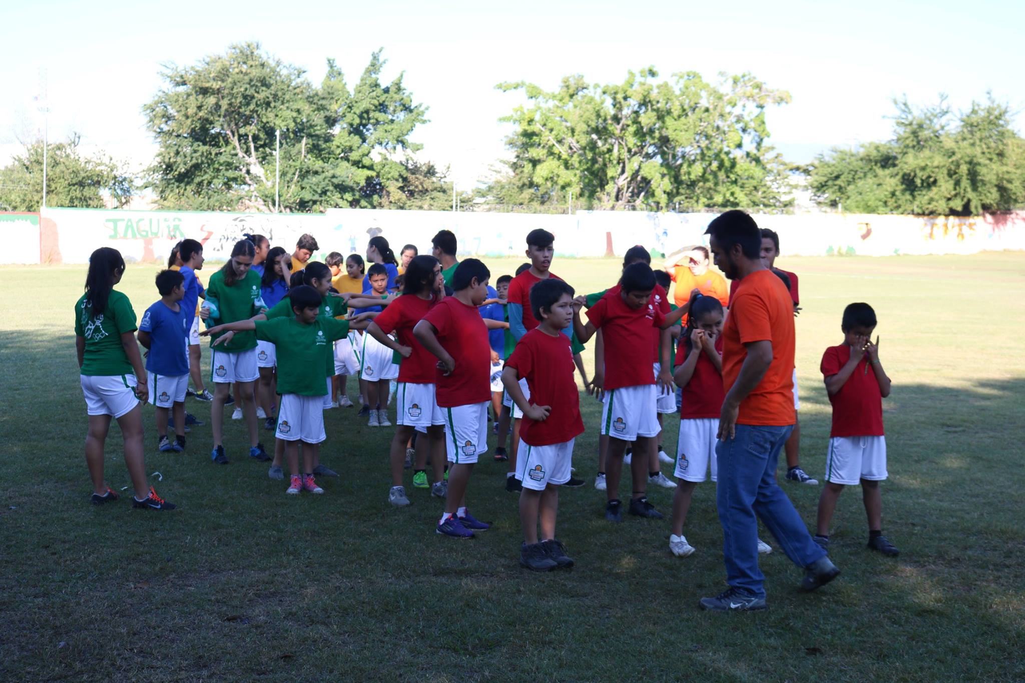 48374739 1175687292582429 5437808903205158912 N